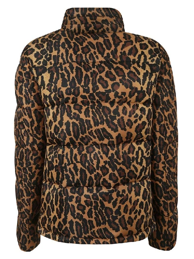 Shop Miu Miu Leopard Print Down Jacket In Khaki