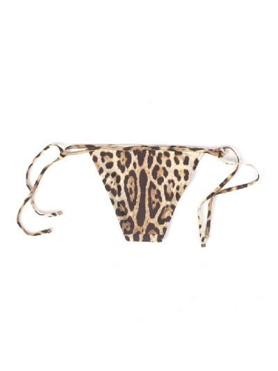 Shop Dolce & Gabbana Brazilian Bikini In M Leo New