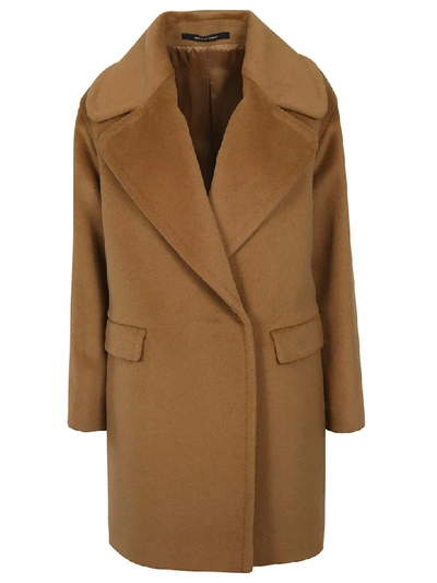 Shop Tagliatore Single Breasted Coat In Brown/green