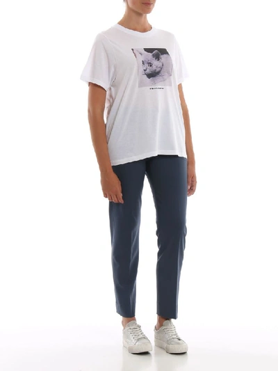 Shop Stella Mccartney Kitten T-shirt In Pure White