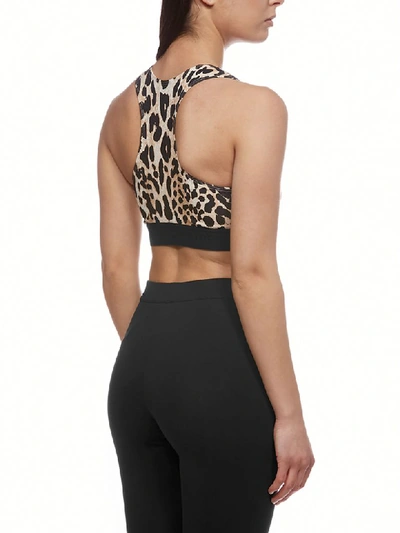Shop Paco Rabanne Leopard Cropped Tank Top In Maculato