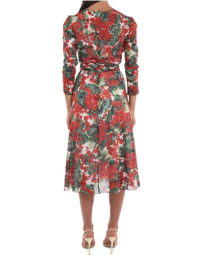 Shop Dolce & Gabbana Geranium Dress In Multi