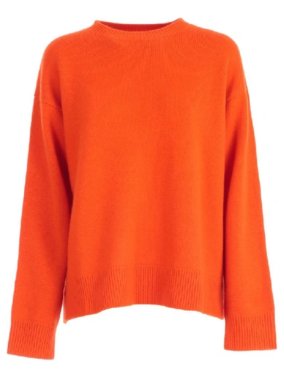 Shop Sofie D'hoore Sweater L/s Round Neck Cashmere In Orange