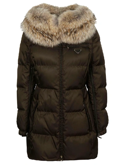 Shop Prada Fur Trim Down Jacket In Mimetic