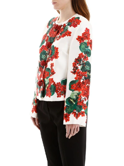 Shop Dolce & Gabbana Portofino Print Jacket In Gerani Fdo Bco Nat (white)