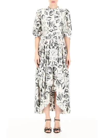 Shop Alexander Mcqueen Shell Print Dress In Ivory Black (white)