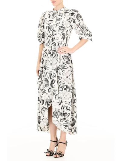Shop Alexander Mcqueen Shell Print Dress In Ivory Black (white)