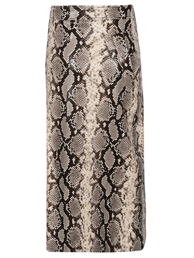 Shop Dsquared2 Python Print Midi Skirt In Grey
