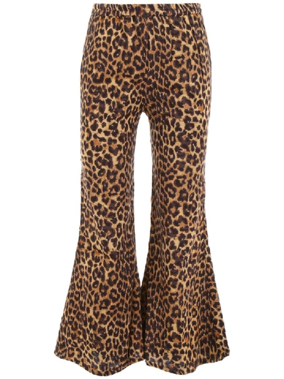 Shop Mes Demoiselles Leopard-printed Flared Trousers In Brown (beige)