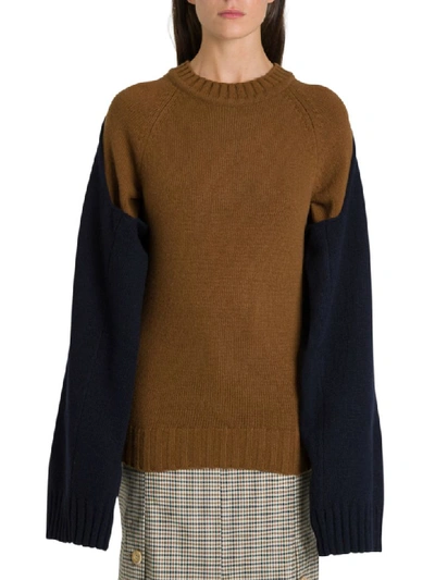 Shop Eudon Choi Fini Sweater With Double Sleeve In Marrone/blu