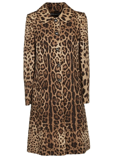 Shop Dolce & Gabbana Leopard Print Coat