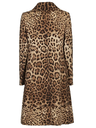 Shop Dolce & Gabbana Leopard Print Coat