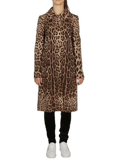 Shop Dolce & Gabbana Leopard Print Coat