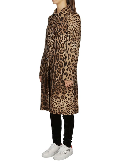 Shop Dolce & Gabbana Leopard Print Coat