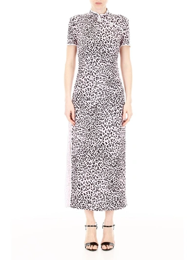 Shop Alessandra Rich Leopard-printed Dress In Light Pink (pink)
