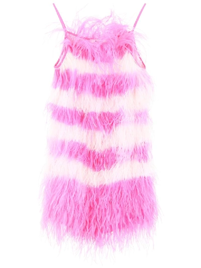 Shop Msgm Bicolor Feather Dress In Rosa (pink)