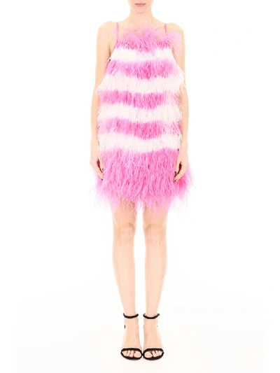 Shop Msgm Bicolor Feather Dress In Rosa (pink)