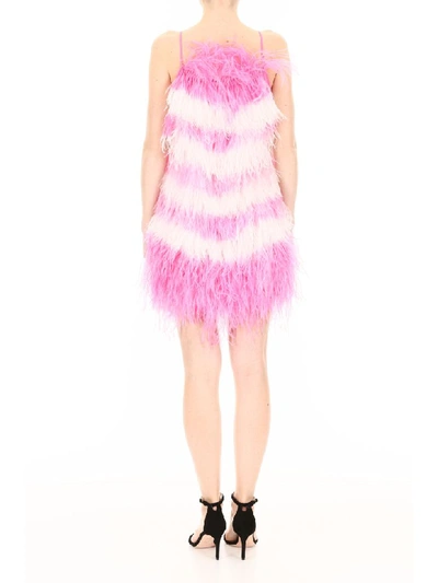 Shop Msgm Bicolor Feather Dress In Rosa (pink)