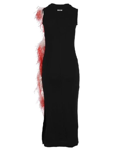 Shop Msgm Mid-length Fitted Dress In Black Red