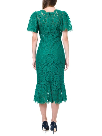 Shop Dolce & Gabbana Green Lace Midi Dress
