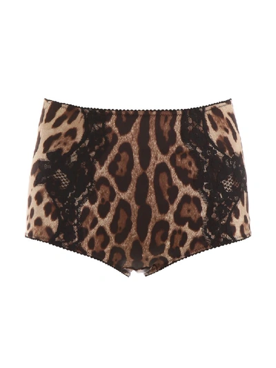 Shop Dolce & Gabbana Leopard-printed Briefs In Leo New (brown)