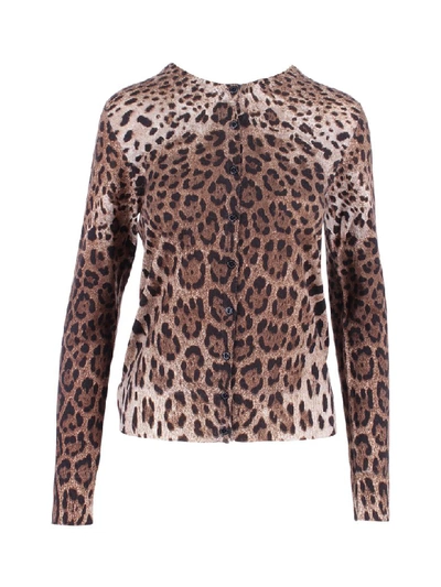 Shop Dolce & Gabbana Virgin Wool Sweater In Leo Print