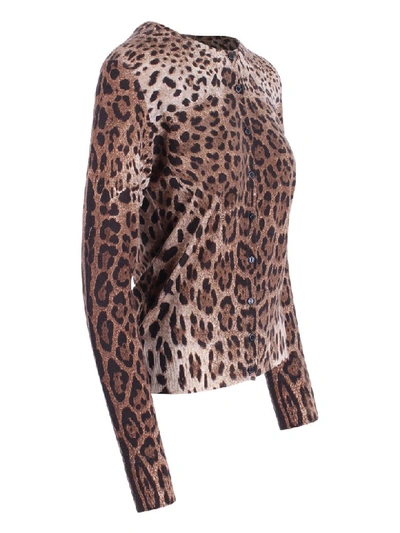 Shop Dolce & Gabbana Virgin Wool Sweater In Leo Print