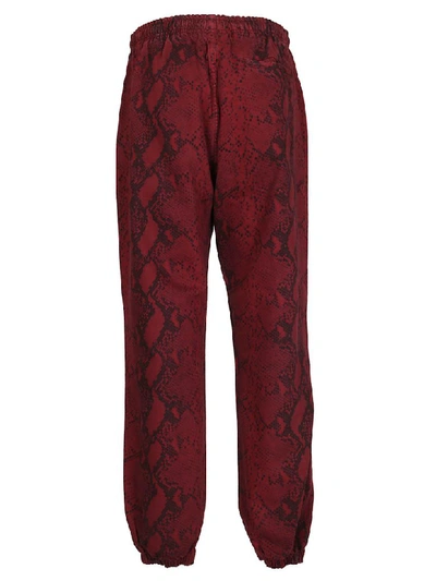 Shop Alexander Wang Trousers In Red