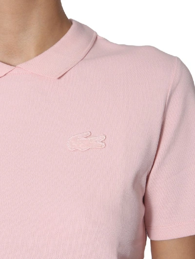 Shop Lacoste Cotton Polo In Rosa