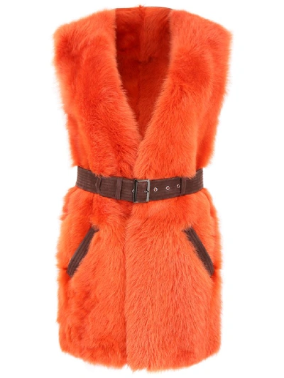 Shop Alberta Ferretti Shearling Jacket In Fantasia ,marrone (orange)