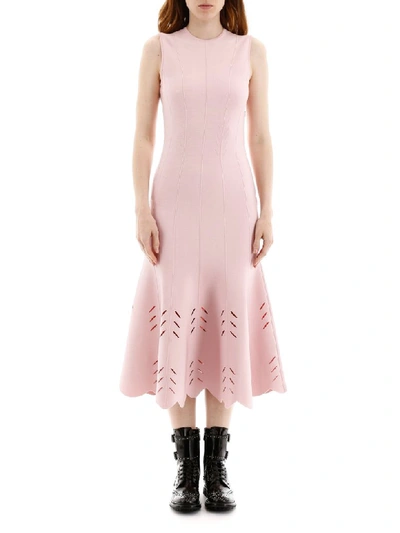 Shop Alexander Mcqueen Knit Midi Dress In Blush Pink (pink)