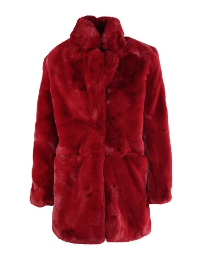 Shop Apparis Mid Lenght Coat In Ruby Red