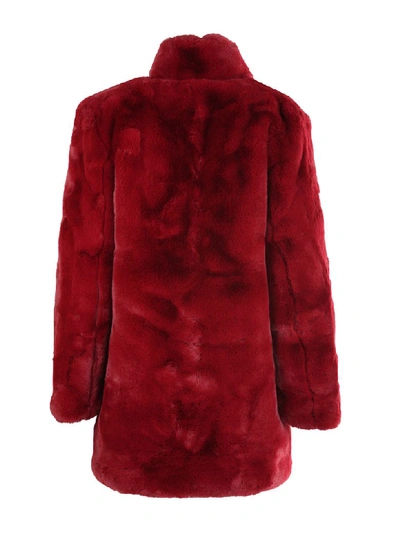 Shop Apparis Mid Lenght Coat In Ruby Red