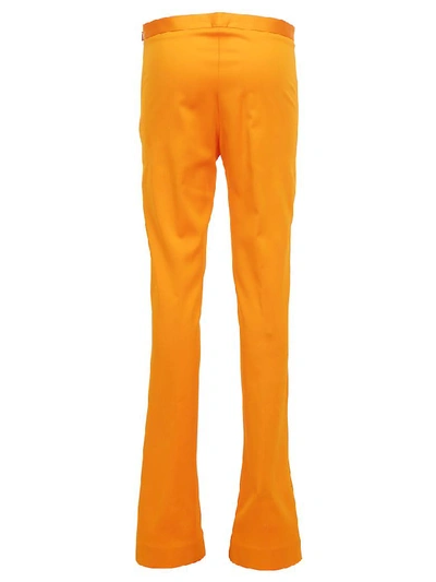 Shop Versace Pants In Arancio