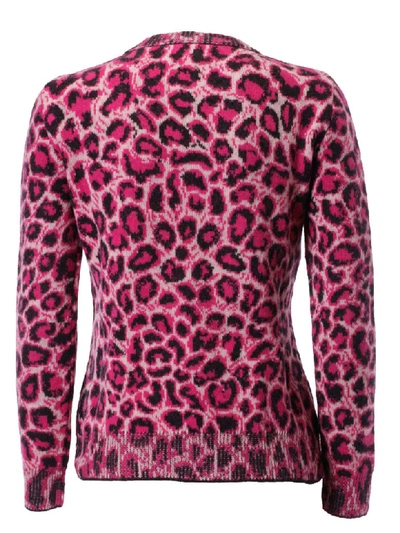 Shop Alberta Ferretti Cheetah Print Sweater In Pink/multicolor