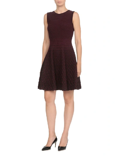 Shop Antonino Valenti Orsola Dress In Amaranth-black