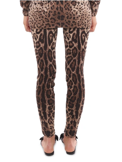 Shop Dolce & Gabbana Leo Silk Charmeuse Trousers In Animalier