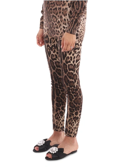 Shop Dolce & Gabbana Leo Silk Charmeuse Trousers In Animalier