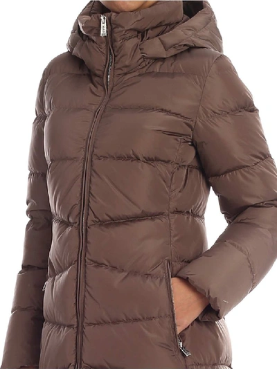 Shop Add Long Fitted Zipped Ped Jacket In Castor