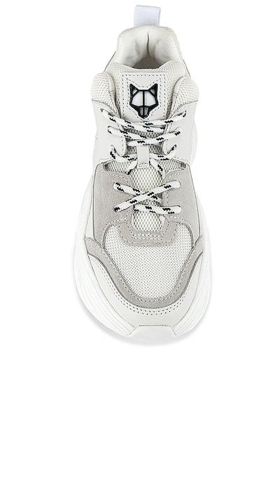 Shop Naked Wolfe Track Sneaker In White