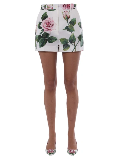 Shop Dolce & Gabbana Cotton Poplin Short In Bianco