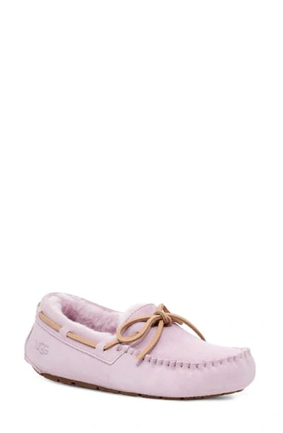 Shop Ugg Dakota Slipper In California Aster Suede