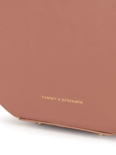 Shop Tammy & Benjamin Circle-shaped Box Bag In Pink