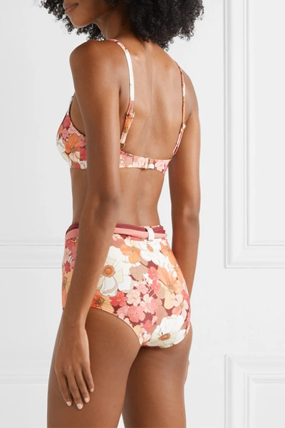 Peony Net Sustain Belted Floral-print Bikini Briefs In Red