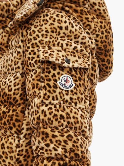 Moncler Bady Leopard Print Velvet Down Jacket In Animal | ModeSens