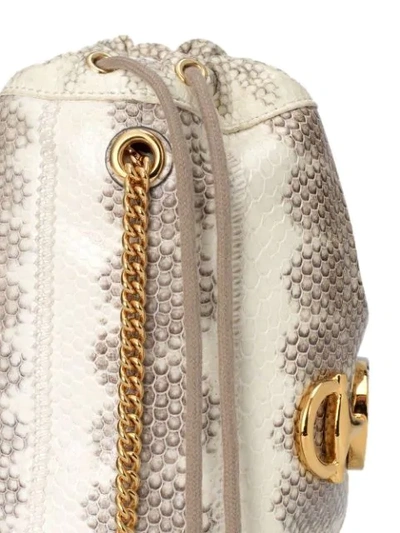 Shop Gucci Zumi Snakeskin Mini Bucket Bag In Neutrals
