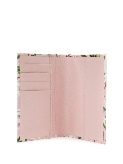 Shop Dolce & Gabbana Lily In Pink