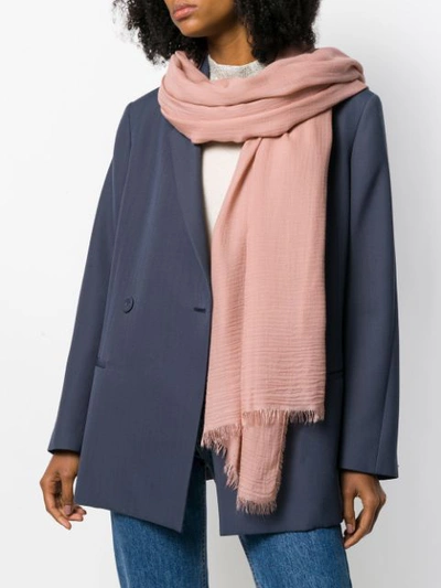 Shop Faliero Sarti Classic Scarf In Pink