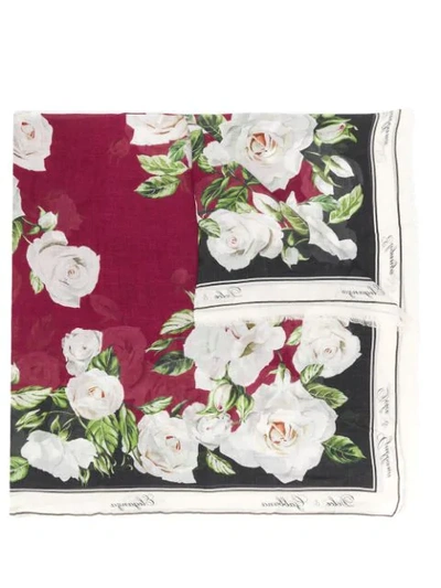 Shop Dolce & Gabbana Rose Print Scarf In White