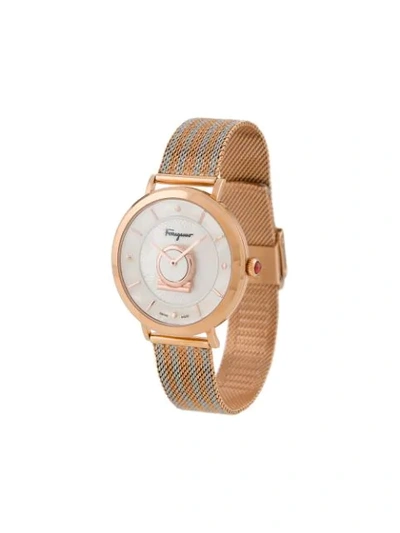 Shop Ferragamo Minuetto 36mm Watch In Gold